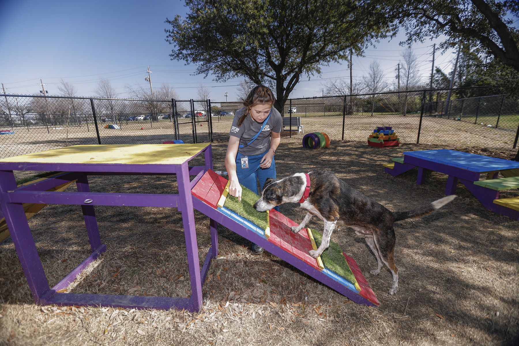 SPCA of Texas Opens Sensory Garden for Shelter Dogs at Animal Care